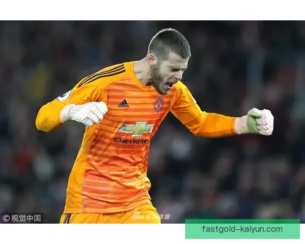 南安普顿在英超赛季表现稳健，状态回暖令人值得关注